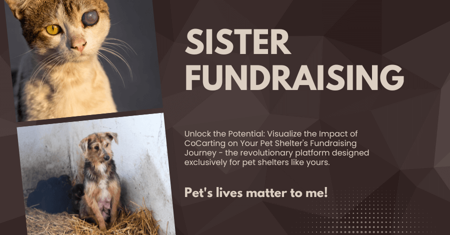 Fundraising Made Easier: Empower Your Pet Shelter with CoCarting 1 An image featuring a heartwarming scene at a pet shelter. In the foreground, a resilient cat with a damaged eye captures attention, symbolizing the challenges faced by shelter animals. In the background, a lonely dog sits by a wall, emphasizing the need for love and care. This powerful image highlights the critical role of CoCarting in supporting pet shelters, empowering them to provide hope, healing, and a brighter future for animals in need.