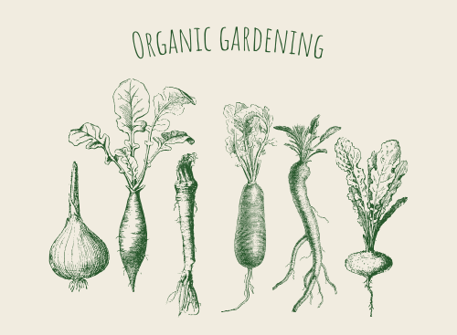 organic gardening
