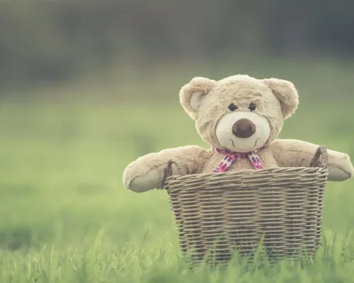 e2157139c4625d793ede7de433fea3061c7e00ec-min